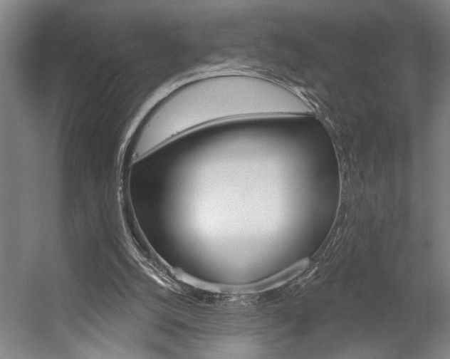 X0000059040056200510070836