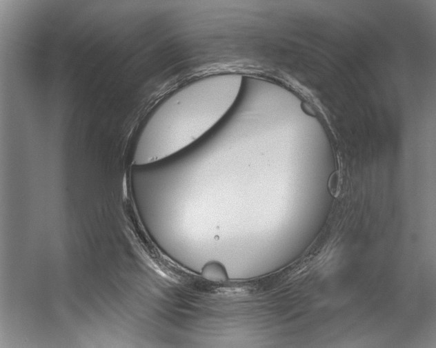 X0000059040061200510070836