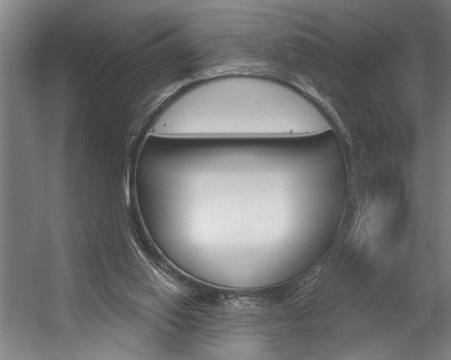 X0000059040062200510070836