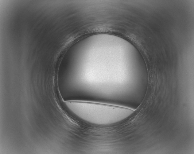 X0000059040063200510070836