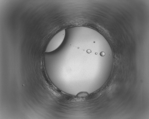 X0000059040065200510070836