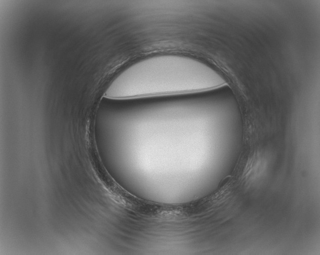 X0000059040066200510070836
