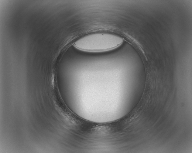 X0000059040067200510070836