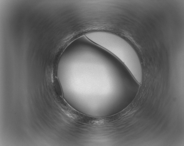 X0000059040068200510070836