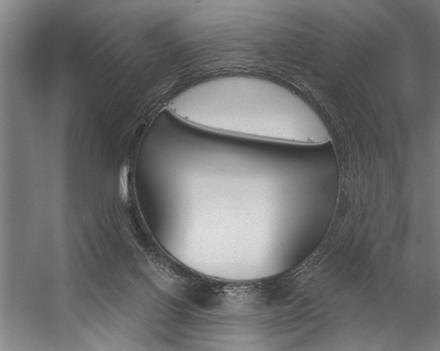 X0000059040070200510070836