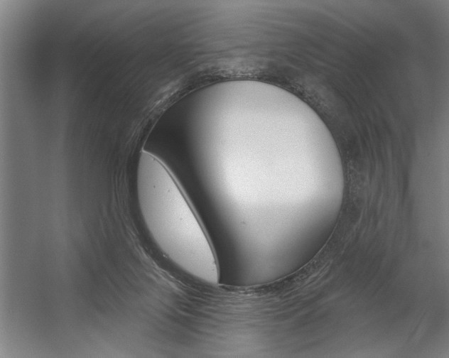 X0000059040071200510070836