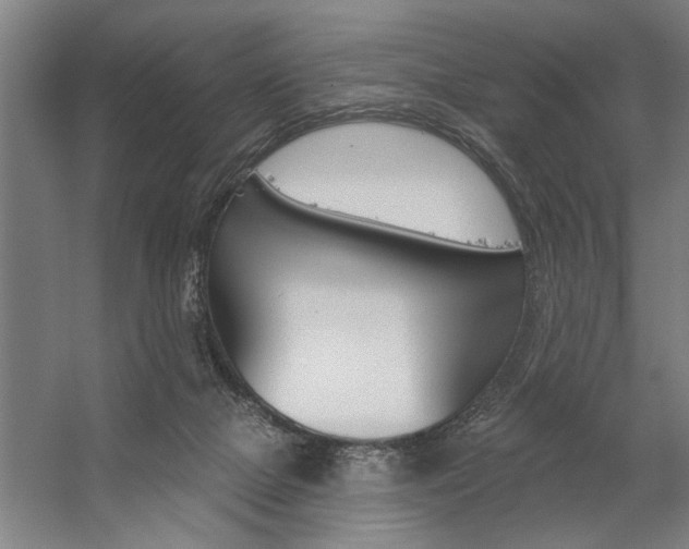 X0000059040073200510070836