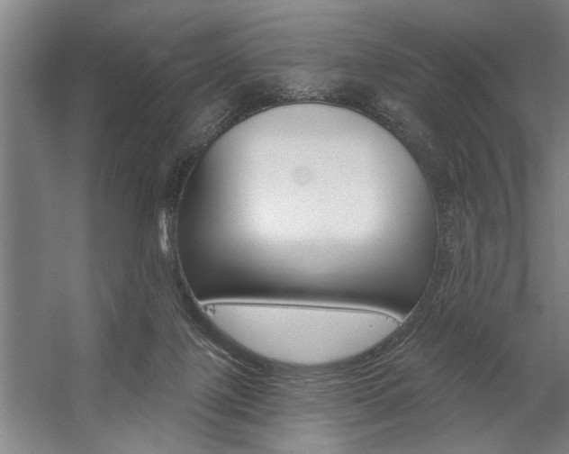 X0000059040075200510070836