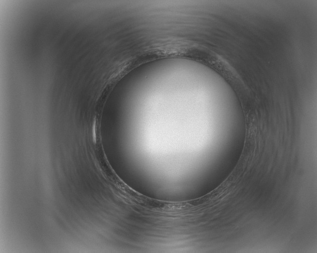 X0000059040076200510070836
