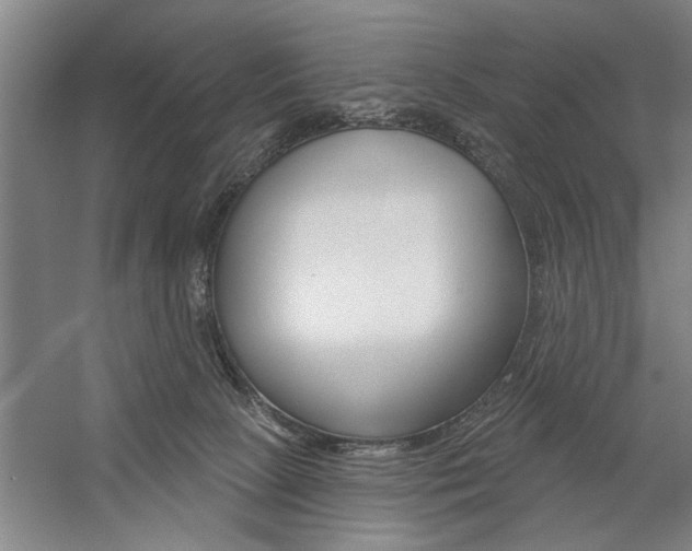 X0000059040081200510070836