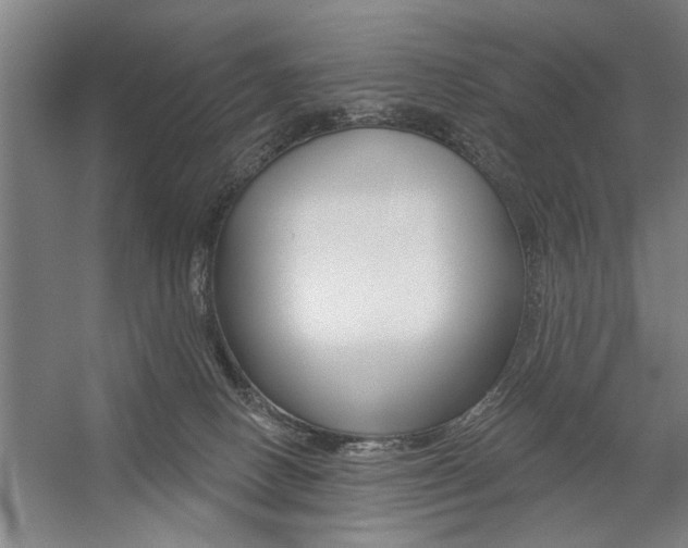 X0000059040082200510070836