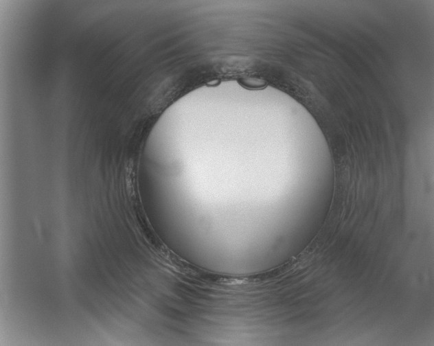 X0000059040083200510070836