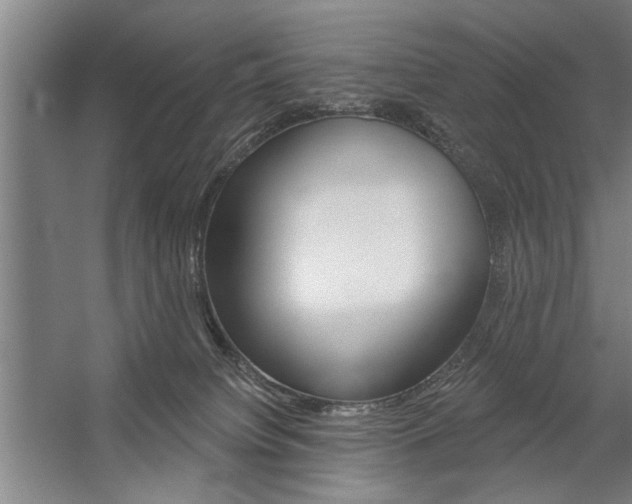 X0000059040084200510070836