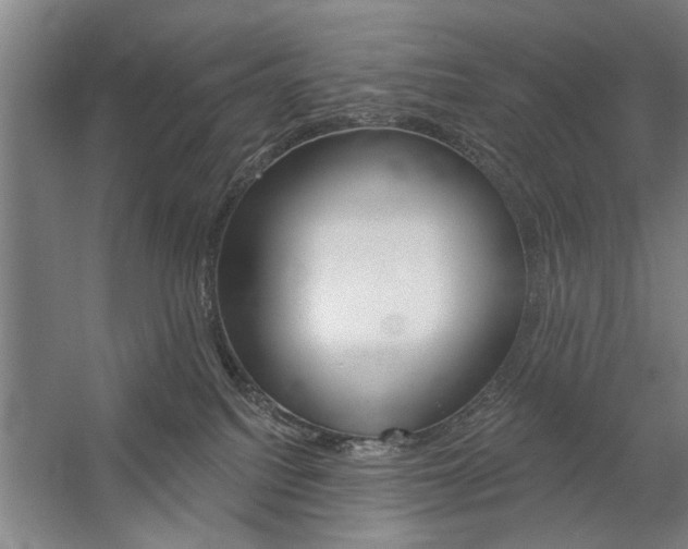 X0000059040088200510070836