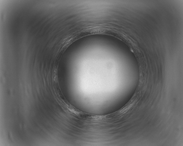 X0000059040096200510070836