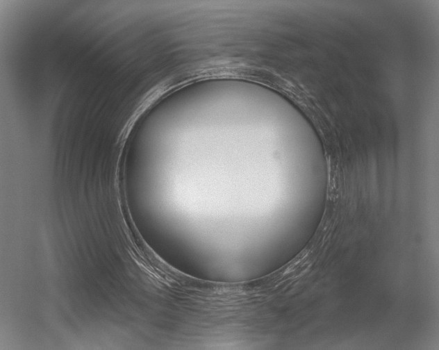 X0000059040099200510070835