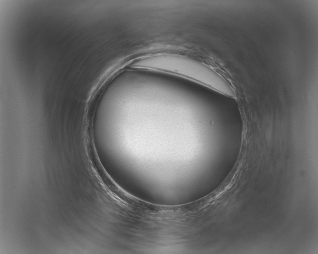X0000059040101200510070835