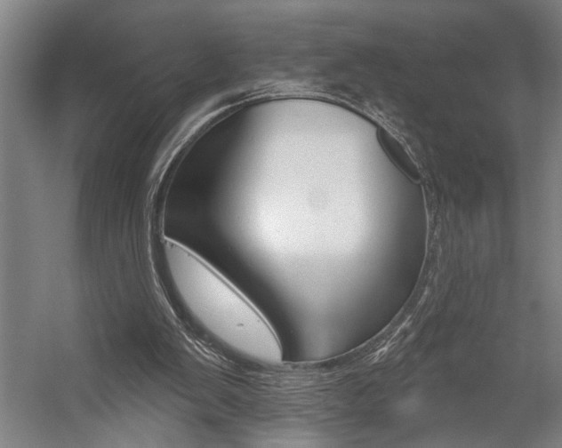 X0000059040103200510070835