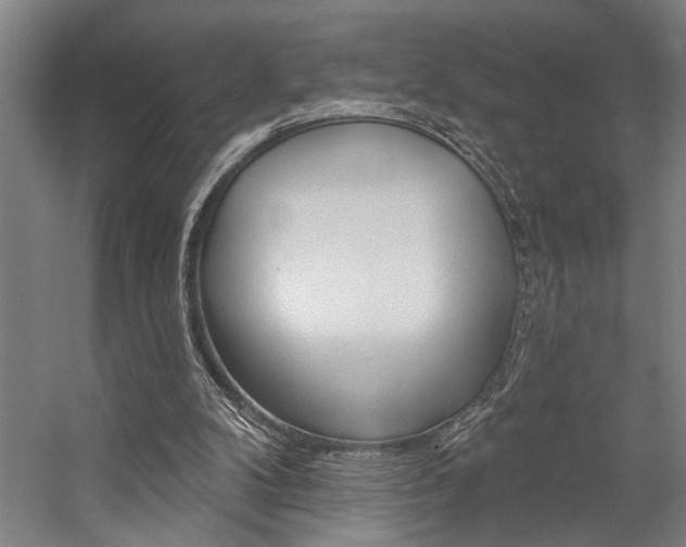 X0000059040104200510070835