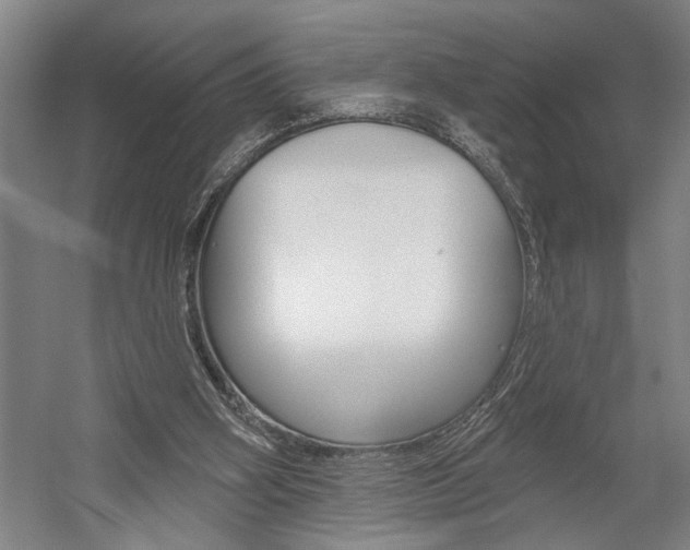 X0000059040106200510070835