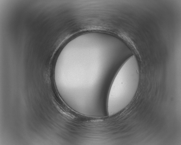 X0000059040108200510070835