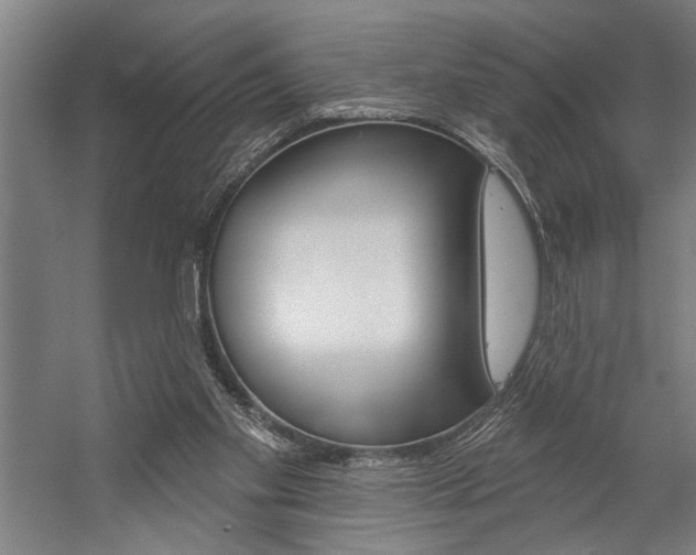 X0000059040109200510070835