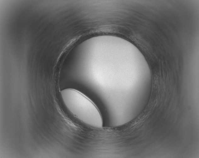 X0000059040112200510070835