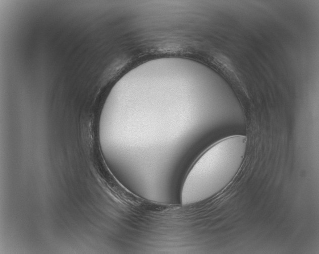 X0000059040116200510070835