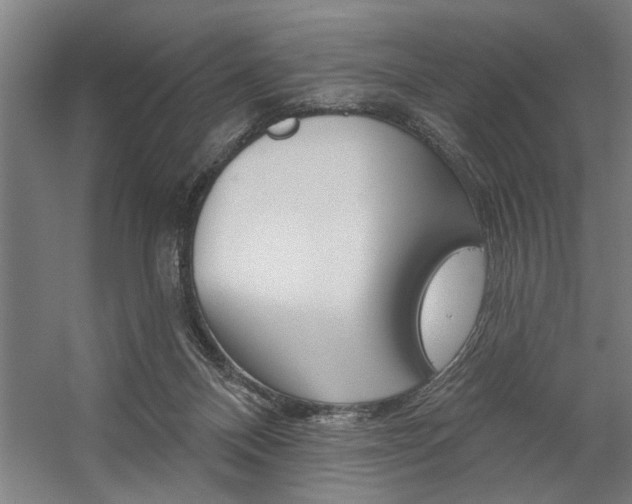 X0000059040120200510070835