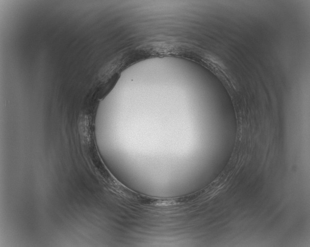 X0000059040121200510070835