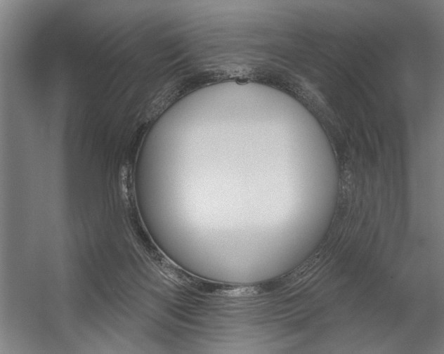 X0000059040122200510070835