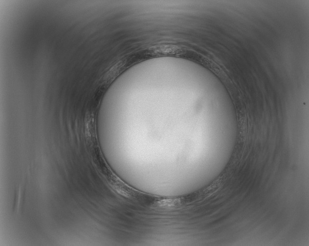 X0000059040126200510070835