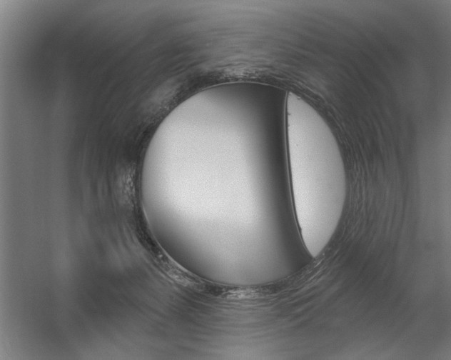 X0000059040127200510070835