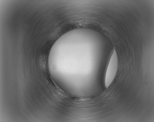 X0000059040129200510070835