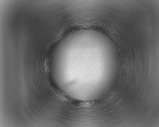 X0000059040131200510070835