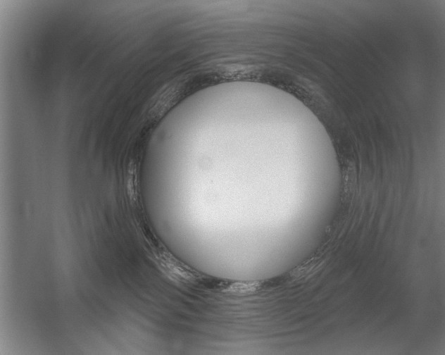 X0000059040138200510070835