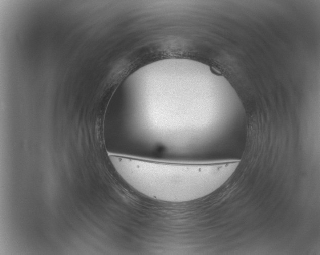 X0000059040139200510070835