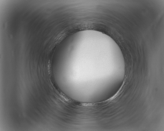 X0000059040144200510070835