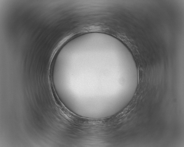 X0000059040147200510070834