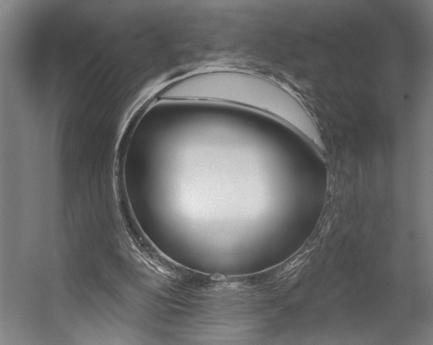 X0000059040152200510070834