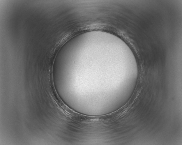 X0000059040153200510070834