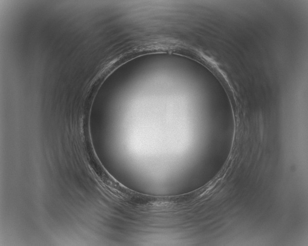 X0000059040154200510070834