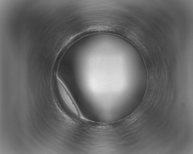 X0000059040160200510070834