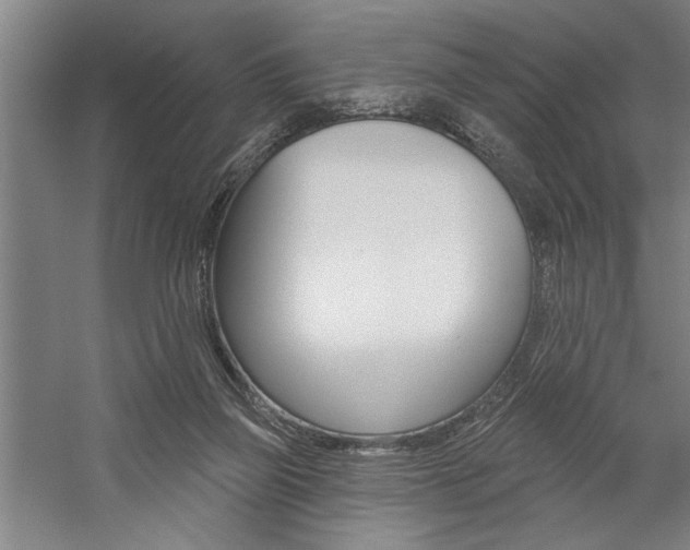 X0000059040165200510070834