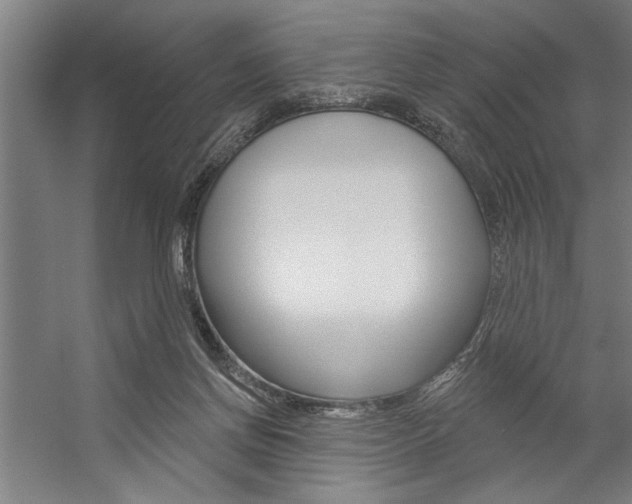 X0000059040166200510070834