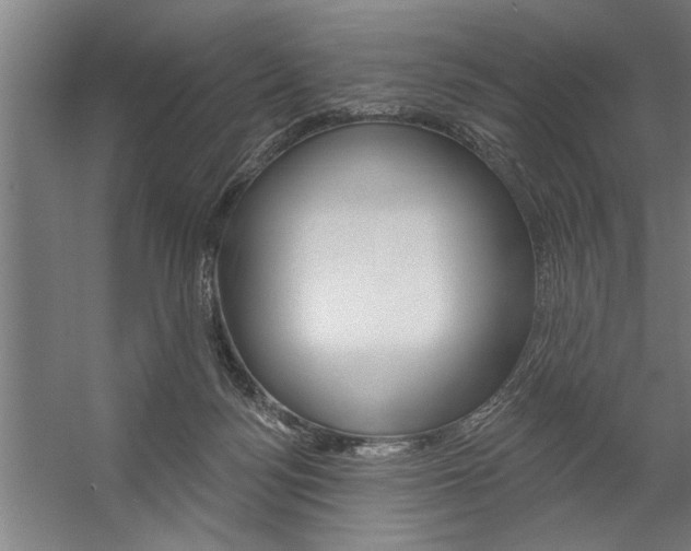 X0000059040172200510070834