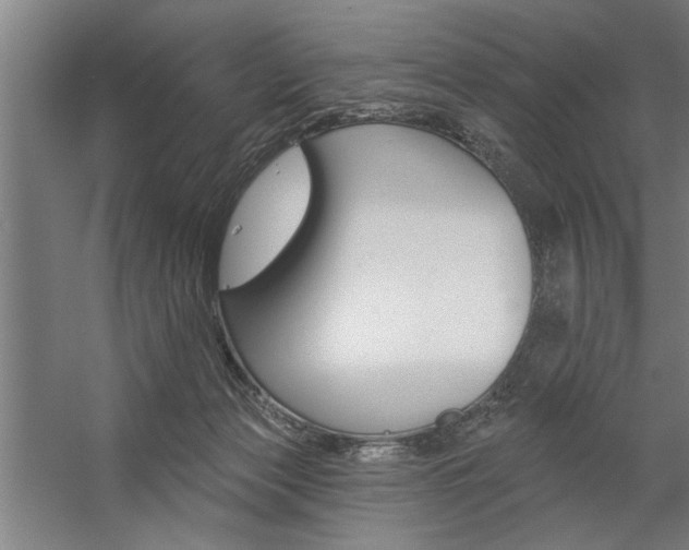 X0000059040173200510070834