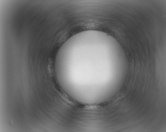 X0000059040181200510070835
