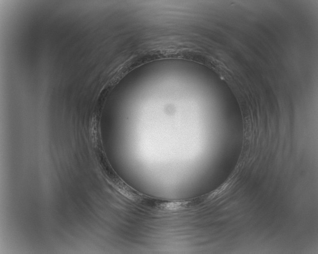 X0000059040184200510070835