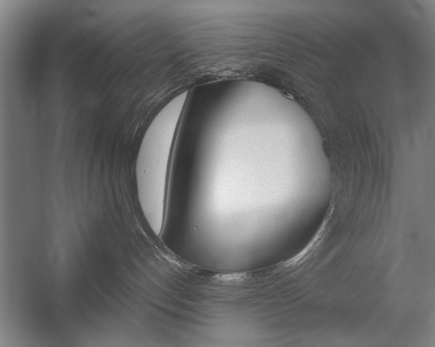 X0000059040192200510070835